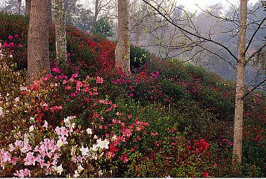 《波斯王子：Rogue》宣布延期  为避开《黑帝斯2》 